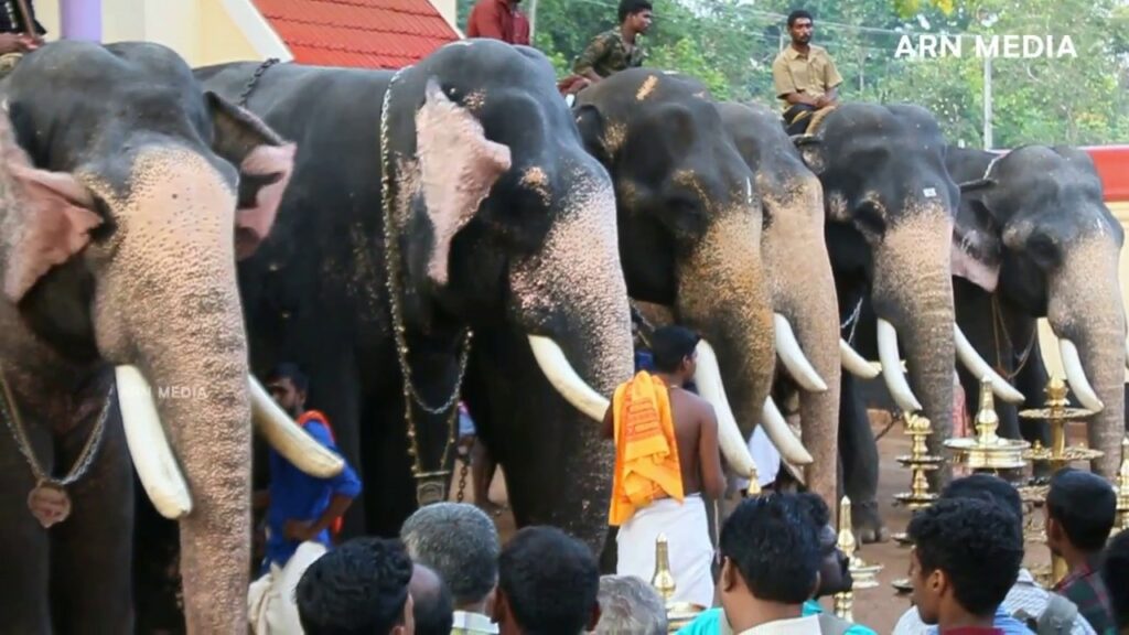 Popular Kerala elephant names കേരളത്തിലെ 378 ആനകളുടെ പേരുകള്‍ 2