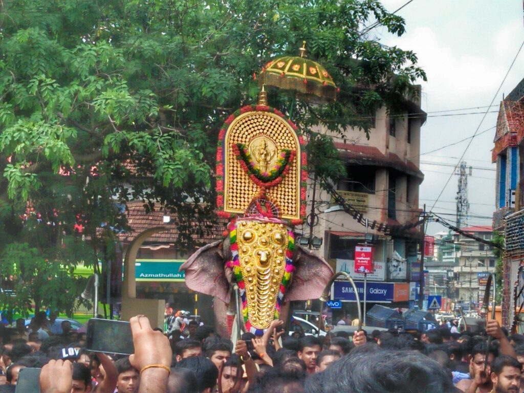 Thrissur Pooram 2019 തൃശൂര്‍ പൂരം: നാളെ കൊടിയേറും 2
